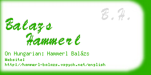 balazs hammerl business card